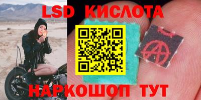 тгк Канаш