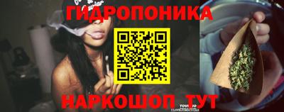 тгк Канаш