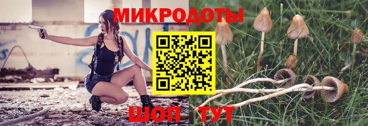 Псилоцибиновые грибы MAGIC MUSHROOMS Курчатов